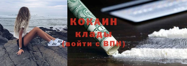 гидра Няндома