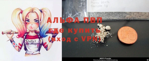 гидра Няндома