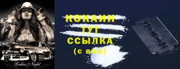 гидра Няндома