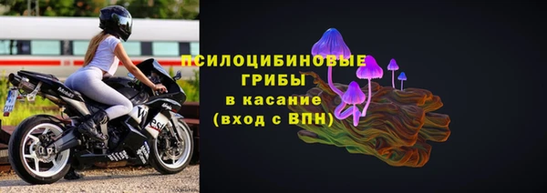 гидра Няндома