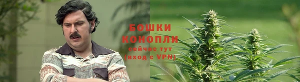 ешки Нягань