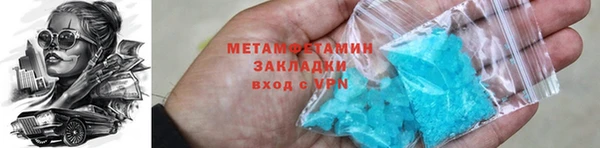 гидра Няндома