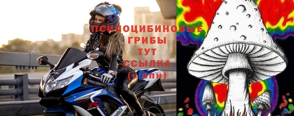 гидра Няндома