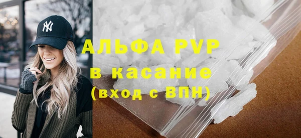 гидра Няндома