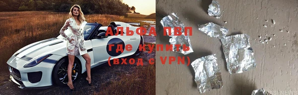 гидра Няндома