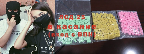 гидра Няндома